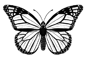 Butterfly Dreams, Inc.